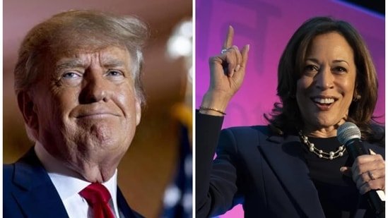 Donald Trump declares he doesn't ‘need concerts or entertainers’ as Kamala Harris dares him to ‘say it to my face’