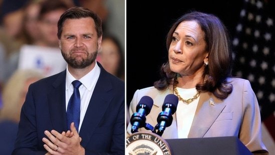 JD Vance says tasking Kamala Harris with reining in inflation is like ‘giving Jeffrey Epstein control over…’