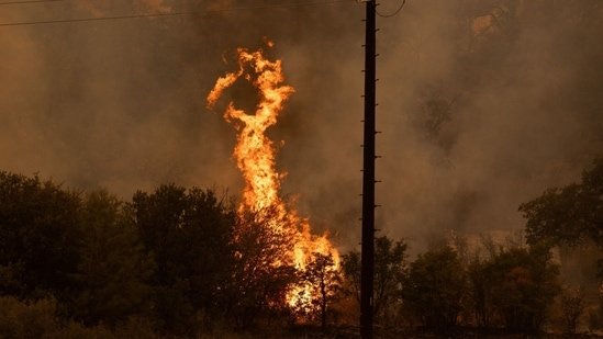 California's Park Fire grows to fourth-largest in US history, destroys over 540 structures and damages 50